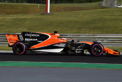 Stoffel Vandoorne, McLaren MCL32