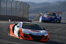 #43 RealTime Racing Acura NSX GT3: Ryan Eversley, Dane Cameron, Tom Dyer