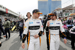 Стоффель Вандорн, Фернандо Алонсо, McLaren MCL33 Renault