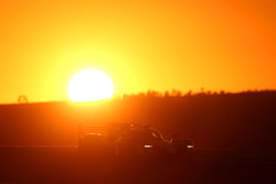 #7 Toyota Gazoo Racing Toyota TS050-Hybrid: Fernando Alonso