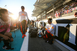 Max Verstappen, Red Bull, Daniel Ricciardo, Red Bull Racing