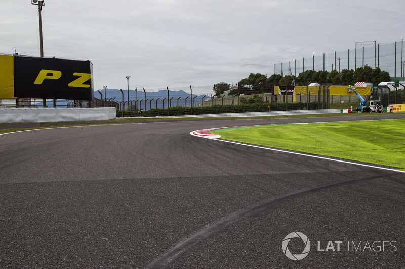 Track view