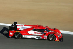 #31 Action Express Racing Cadillac DPi: Eric Curran, Dane Cameron