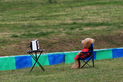 A teddy bear watches television