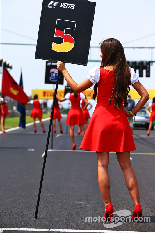 Grid girl