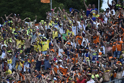 Pubblico