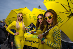Grid girls