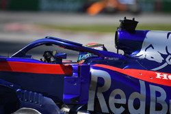Брендон Хартли, Scuderia Toro Rosso STR13