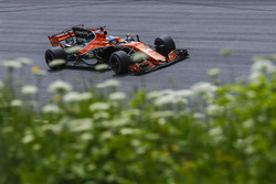 Fernando Alonso, McLaren MCL32