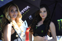 Lovely grid girls