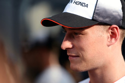 Stoffel Vandoorne, testrijder McLaren