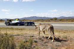 Ein Gepard rast ein Formule E-Einsitzer