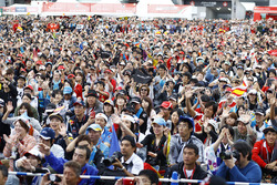 Fans