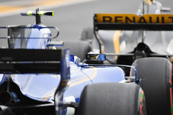 Pascal Wehrlein, Sauber C36
