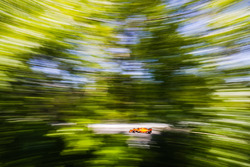 Стоффель Вандорн, McLaren MCL33