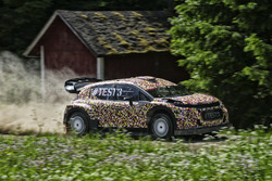 Кріс Мік за кермом Citroën C3 WRC 2017