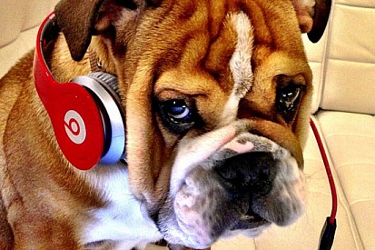 Un pass permanente per Roscoe, il cane di Hamilton