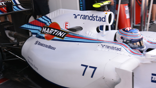 Le Williams con le branchie sulla pinna dorsale