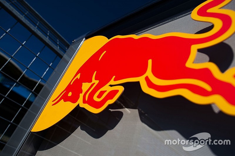 Red Bull'un genç sürücü akademisine dört pilot daha katıldı