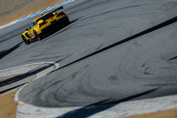 #3 Corvette Racing,雪佛兰Corvette C7.R: Jan Magnussen, Antonio Garcia