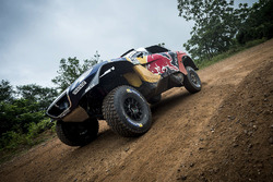 #321 Peugeot: Cyril Despres, David Castera
