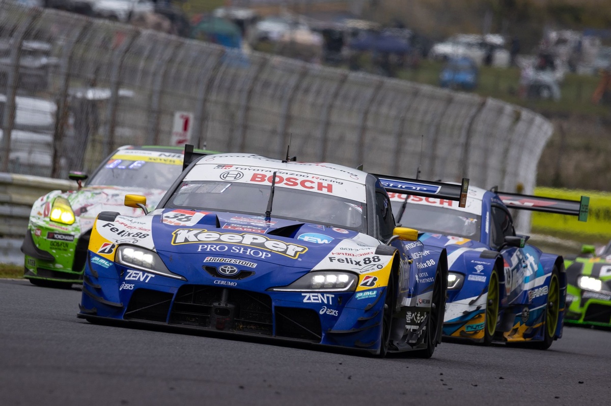 マイセン　虎　2匹 まるたま豆しば三兄弟BIG 豆太郎/Marutama MAMESHIBA SANKYOUDAI