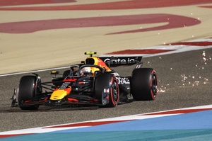 レッドブルF1 レッドブル『RB10』は黒いアリクイ- F速公式サイト -