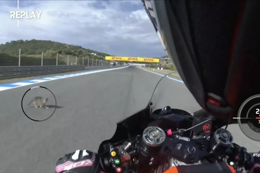 Aleix Espargar&oacute;