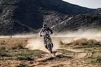 Mocne tempo Dąbrowskiego