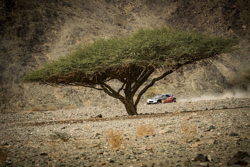 #314 Abu Dhabi Racing Peugeot: Cyril Despres, Mike Horn