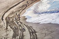 Tres fábricas y un invitado que se juegan el Dakar a cara de perro