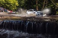 Kołtun przerwał serię Szej&oacute;w