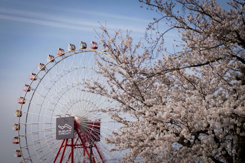 The Suzuka Circuit Ferris wheel