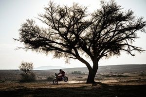Dakar 2025: Sanders gana la etapa 7 con Benavides y Cornejo en el top 5