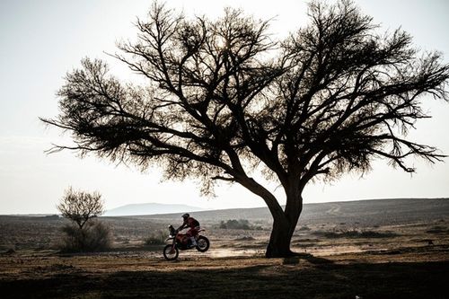 Dakar 2025: Sanders gana la etapa 7 con Benavides y Cornejo en el top 5