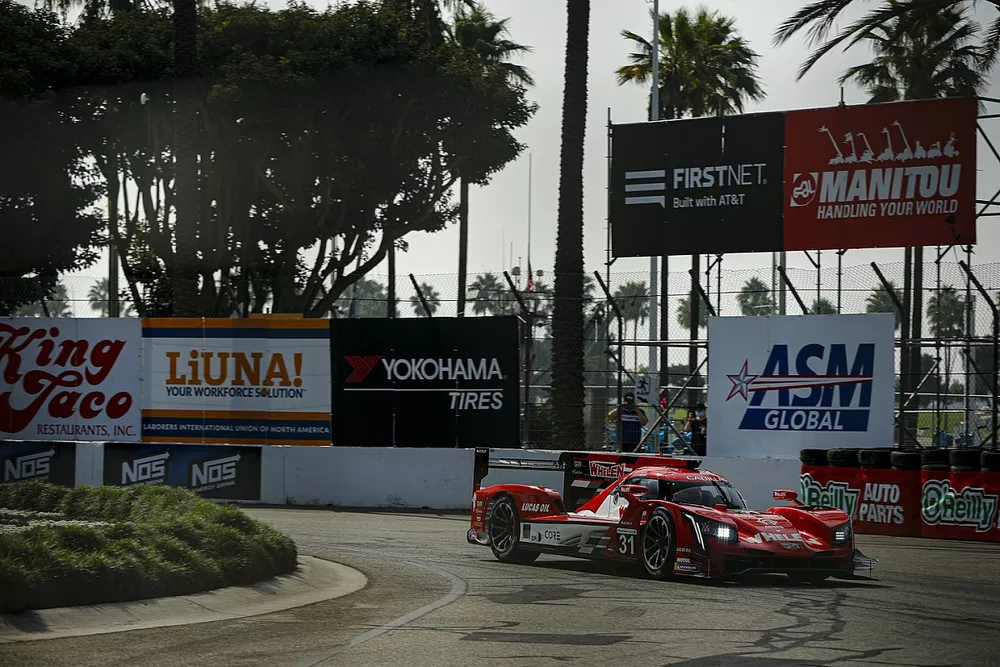 #31: Whelen Engineering Racing Cadillac DPi, DPi: Felipe Nasr, Pipo Derani