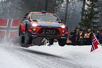 Właściwy wyb&oacute;r Loeba