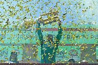 'Canapino, grande entre los grandes en Argentina', por Mauricio Gallardo