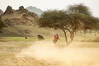 Ricky Brabec abandona el Dakar 2023 tras una caída