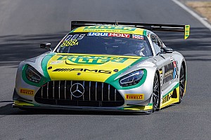 VIDEO: Canguros invaden pista en prácticas en Bathurst