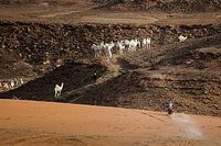 Branch gana la Etapa 11 y aviva la batalla por el Dakar 2024 en motos