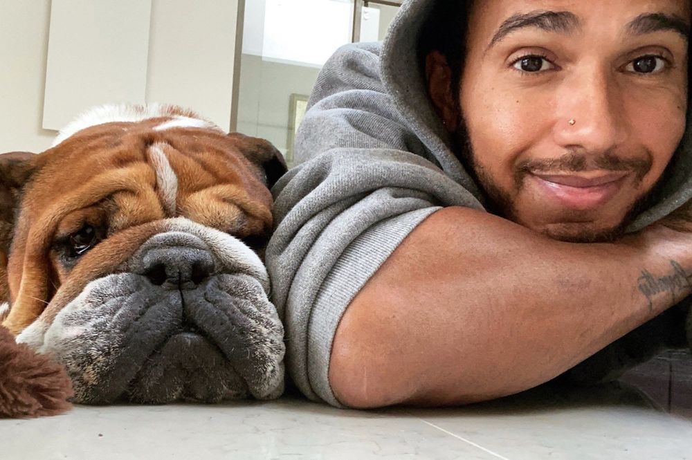 Roscoe y Lewis Hamilton