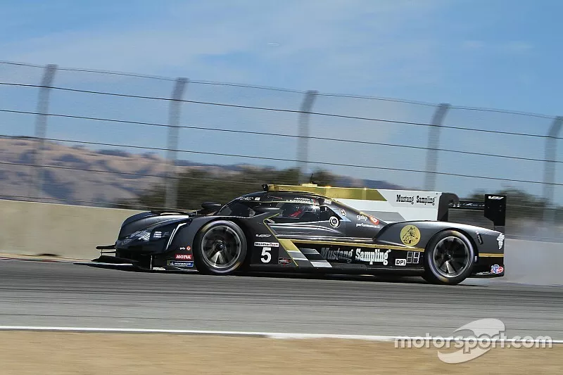 #5 Mustang Sampling Racing Cadillac DPi, DPi: Joao Barbosa, Filipe Albuquerque