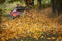 O co walczą w Japonii? - Część druga