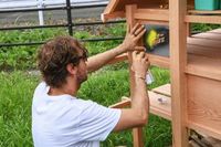 Ralf duda de Vettel y Red Bull: lo que juega en contra del "rebelde verde"