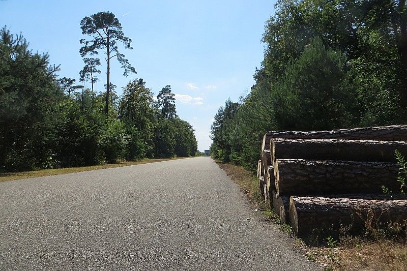 Un paseo por el hist&oacute;rico Hockenheimring
