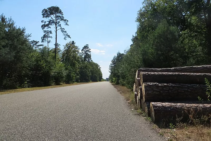 Un paseo por el hist&oacute;rico Hockenheimring