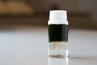 2026年からF1で使われる持続可能燃料とは一体何なのか？　バイオに、eフューエルに&hellip;&hellip;実は複数の選択肢がある