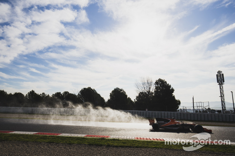 Стоффель Вандорн, McLaren MCL32