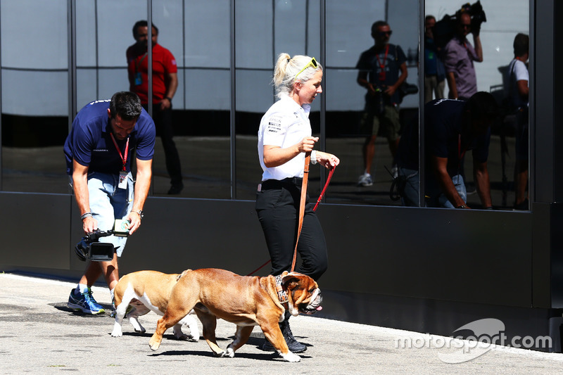 Roscoe y Coco las mascotas de Lewis Hamilton, Mercedes AMG F1